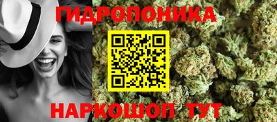 ECSTASY Гай