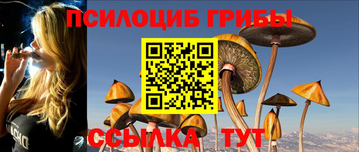 Псилоцибиновые грибы мухоморы Ростов Великий