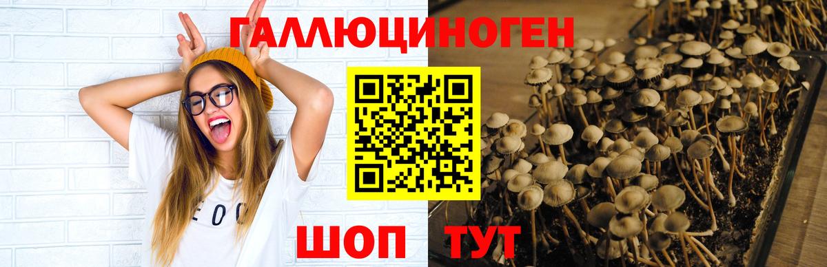 Ростов Великий  Псилоцибиновые грибы мицелий  Вход с VPN  Псилоцибиновые грибы ЛСД 